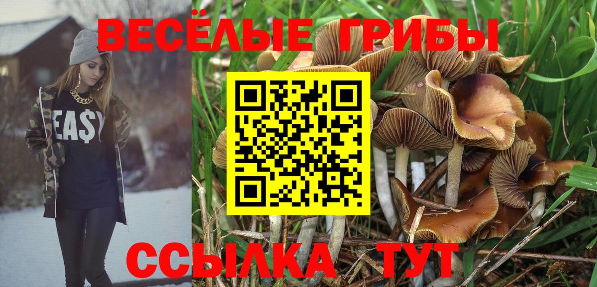 Псилоцибиновые грибы Psilocybine cubensis  Вход с VPN  Дзержинский 